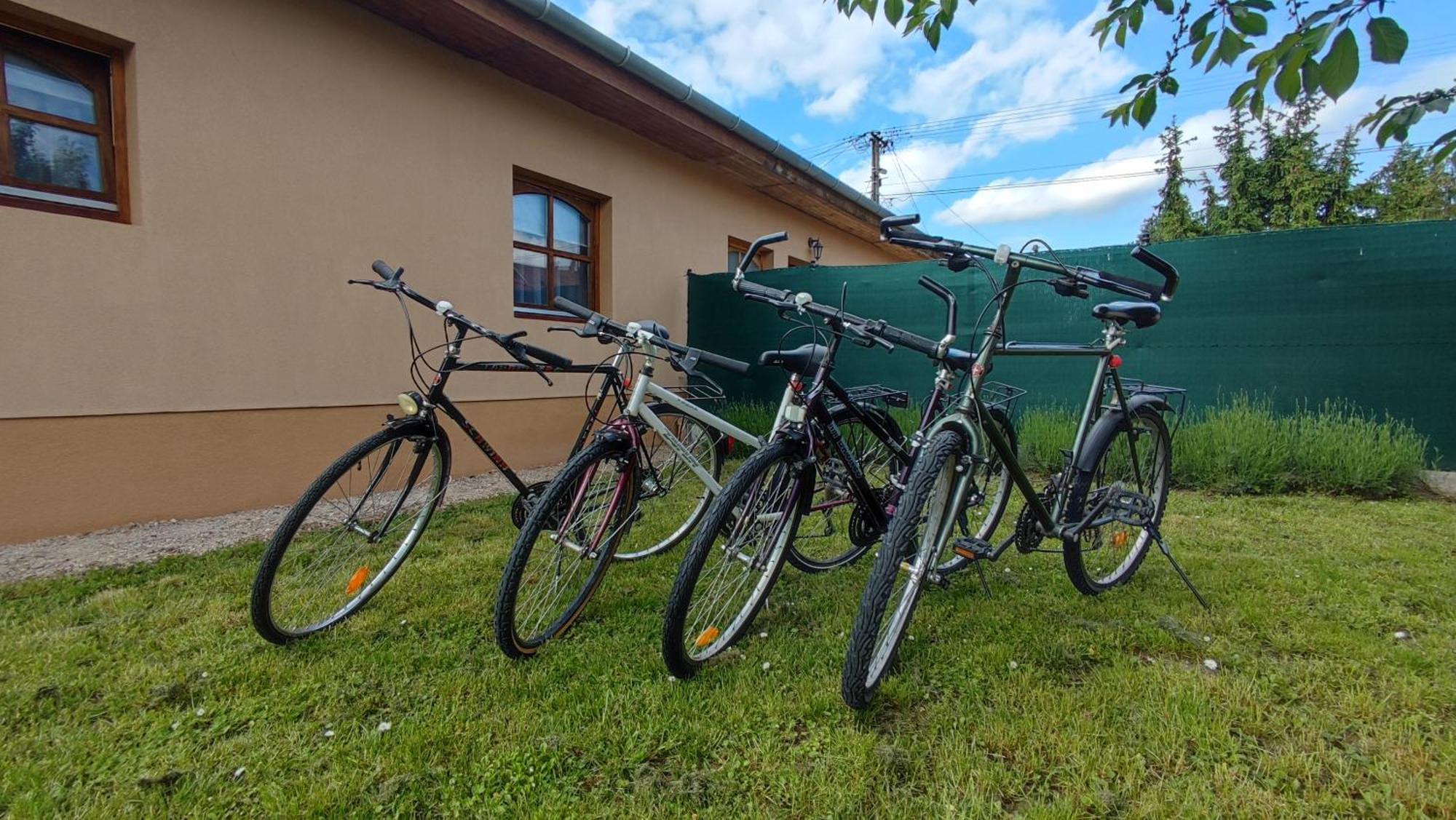 Limonade Apartman Ac Agard Elmenyfuerdo Mellett Gárdony Exteriör bild
